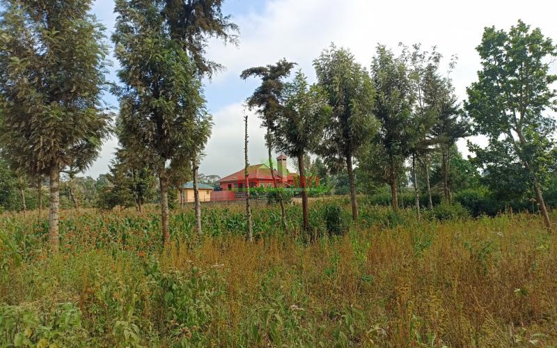 Residential Plot For Sale In Kikuyu, Gikambura