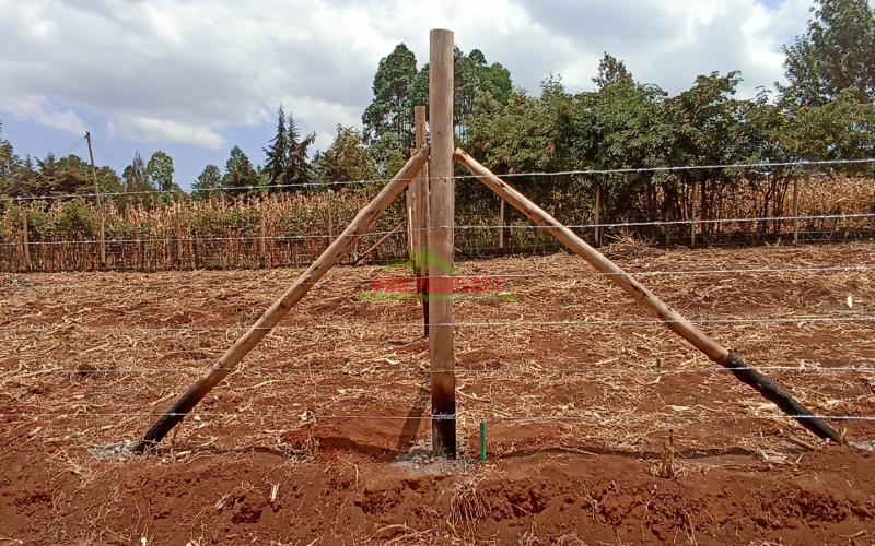 Prime Residential Plot’s For Sale In Kikuyu, Migumoini Area