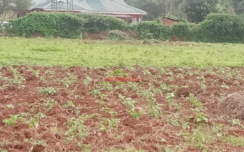 Prime 60*100ft plot for sale in kikuyu -ondiri