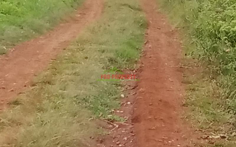 Prime 60*100ft Plot For Sale In Kikuyu -ondiri