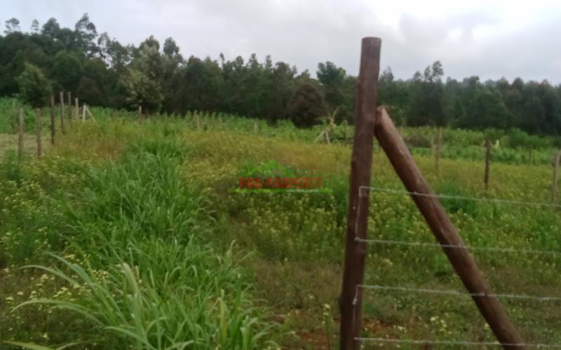 Prime50by100ft Residential Plot For Sale In Kikuyu ,ng'amba Area