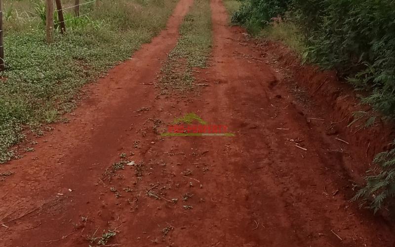 Prime50by100ft Residential Plot For Sale In Kikuyu ,ng'amba Area