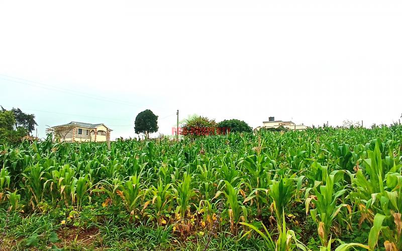 50 By 100 Plot For Sale In Kamangu, Kikuyu (kiambu County)