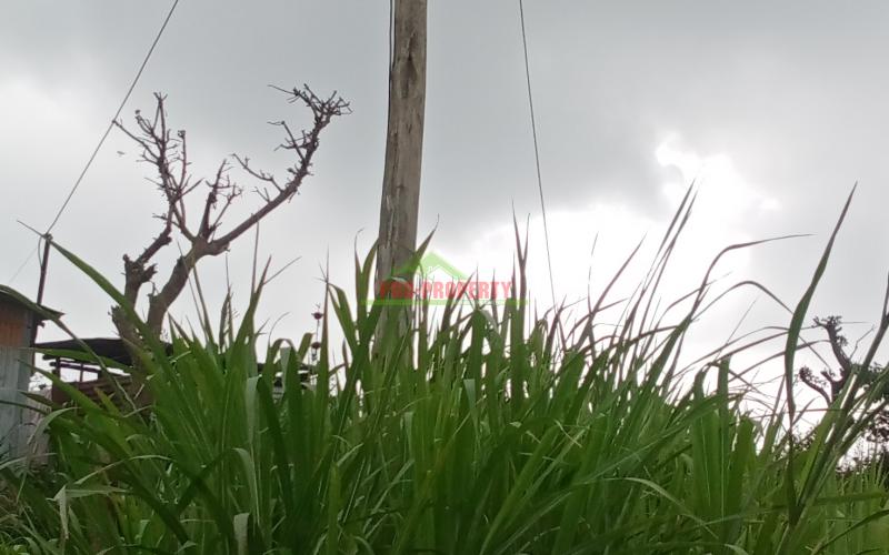 Prime 60*100 Plot For Sale In Kikuyu, Kamangu