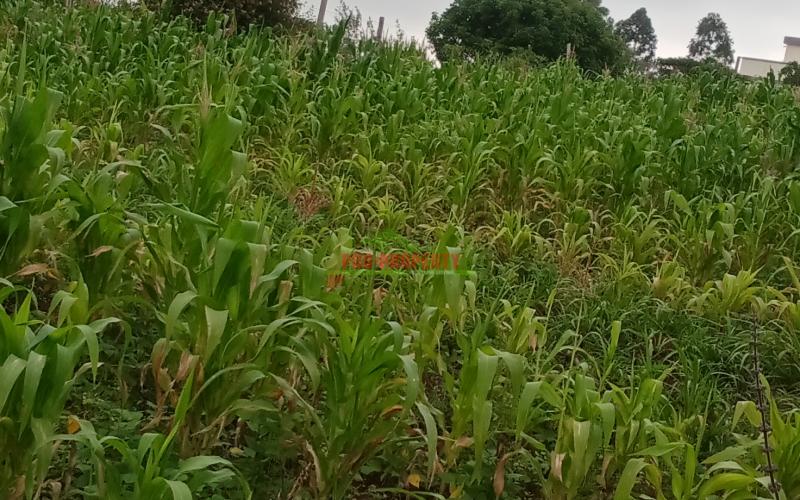 Prime 60*100 Plot For Sale In Kikuyu, Kamangu