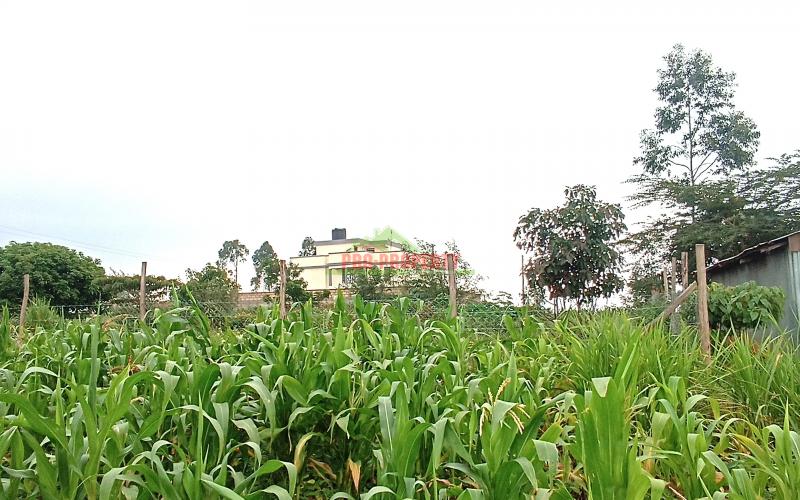 50 By 100 Plot For Sale In Kamangu, Kikuyu (kiambu County)