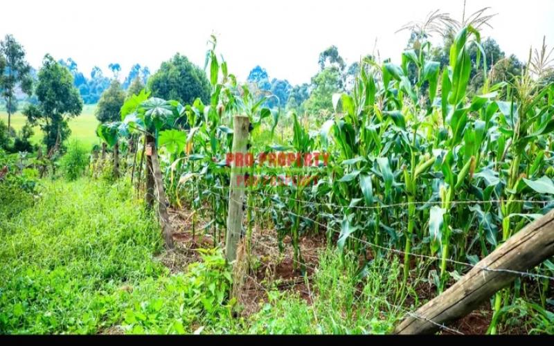 Prime  50 By 100 Residential Plot For Sale In Kikuyu,ondiri