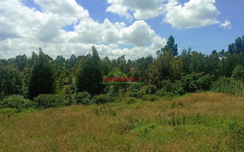 Residential 50 By 100 Feet Plots For Sale In Kikuyu, Rose Gate