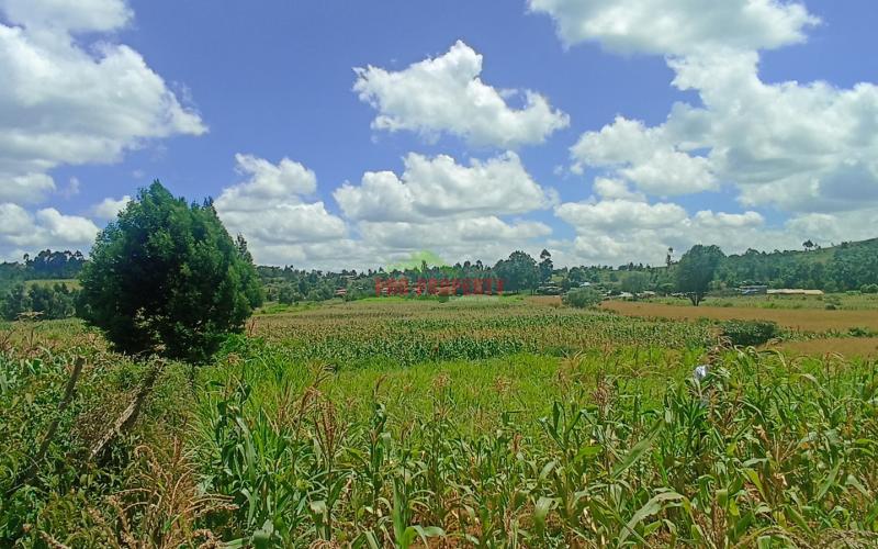 50 By 100 Feet Plots For Sale In Kikuyu Near Rose Gate Phase One