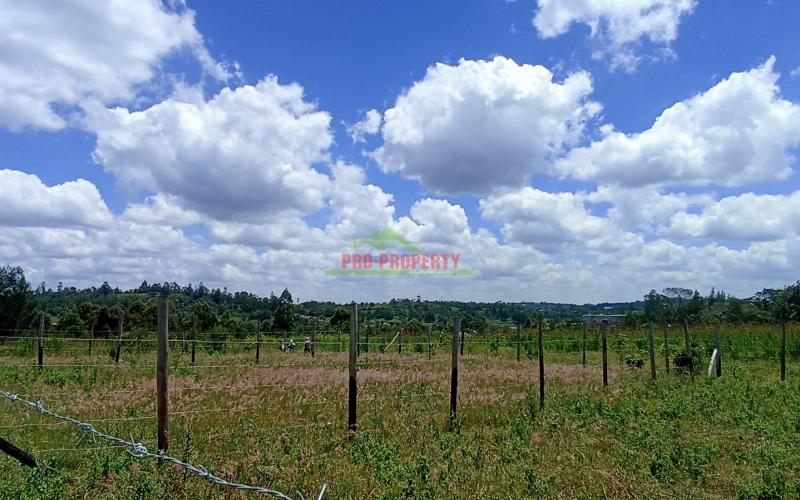 50 By 100ft Plot For Sale In Kikuyu, Lusigetti – Kiambu County