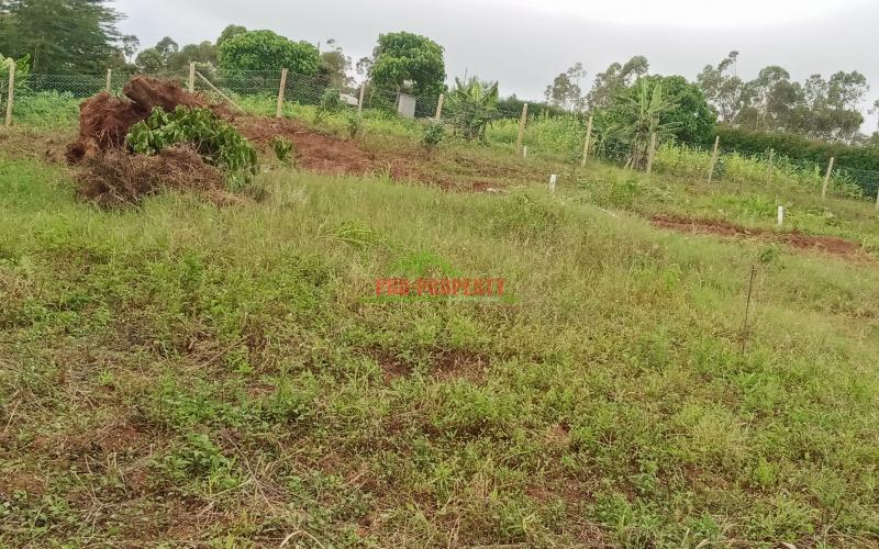 Prime Residential Plot For Sale In Kikuyu, Nguirubi