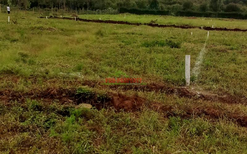Prime Residential Plot For Sale In Kikuyu, Nguirubi
