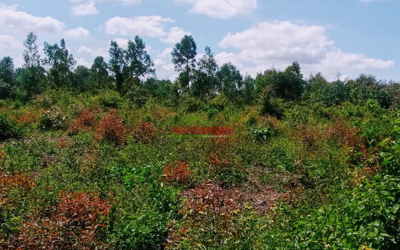 Prime 50 By 100ft Residential Plot For Sale In Kikuyu, Ondiri