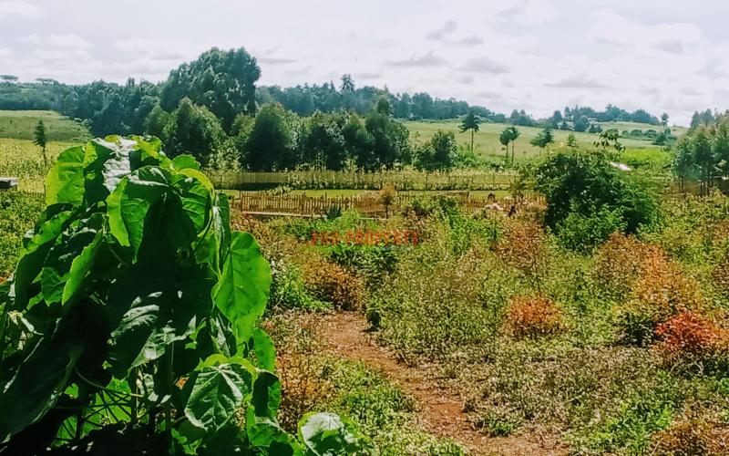 Prime 50 by 100ft Residential plot for sale in kikuyu, Ondiri