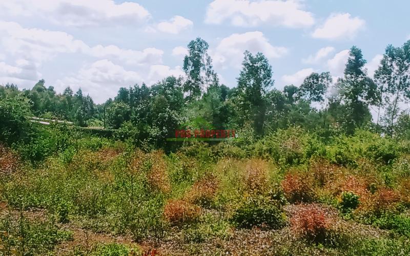 Prime 50 By 100ft Residential Plot For Sale In Kikuyu, Ondiri
