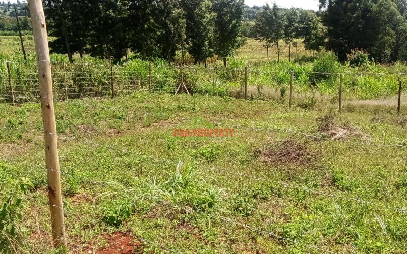 Prime 50*100ft  Residential plot for sale in Kikuyu kamangu