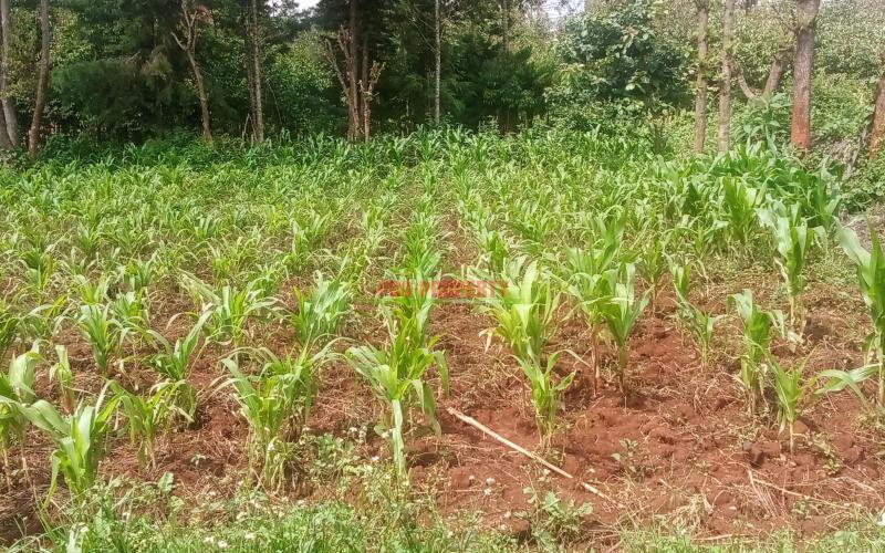 Prime  Residential Plot For Sale In Kikuyu, Ondiri