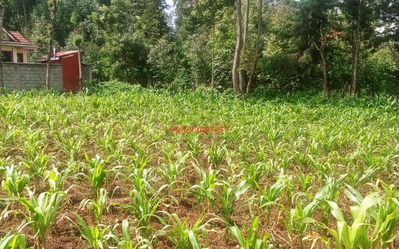 Prime  Residential Plot For Sale In Kikuyu, Ondiri