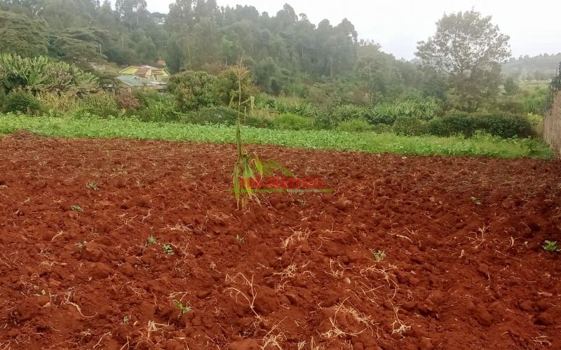 Prime Residential Plot For Sale  In Kikuyu, Ondiri