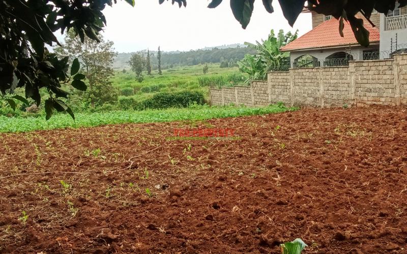 Prime Residential Plot For Sale  In Kikuyu, Ondiri