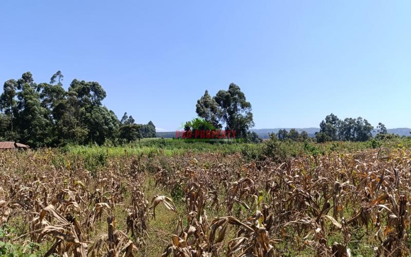 Plot For Sale In Kikuyu, Ng’amba Area