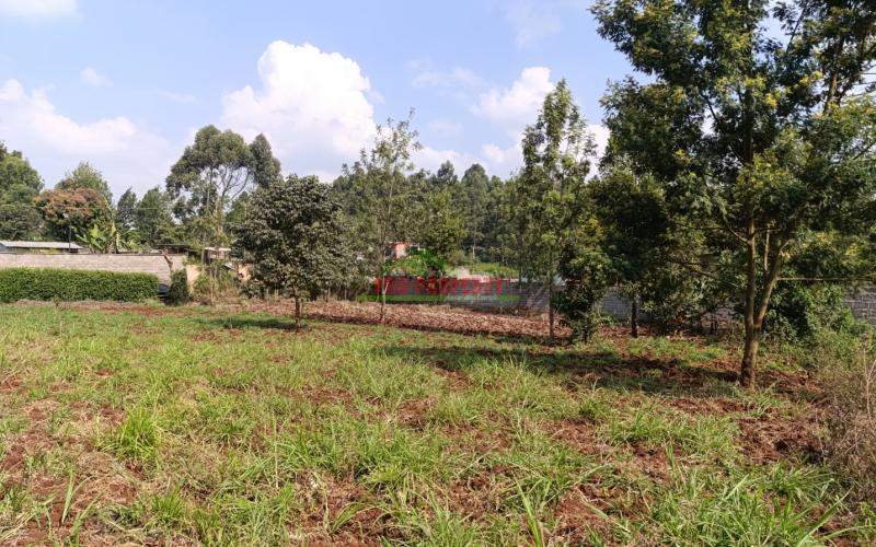 Prime Quarter Acre Plot For Sale In Thogoto, Kikuyu