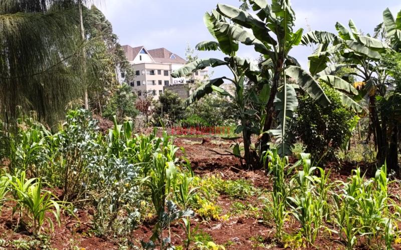 Prime Plot For Sale In Gitaru, Kikuyu