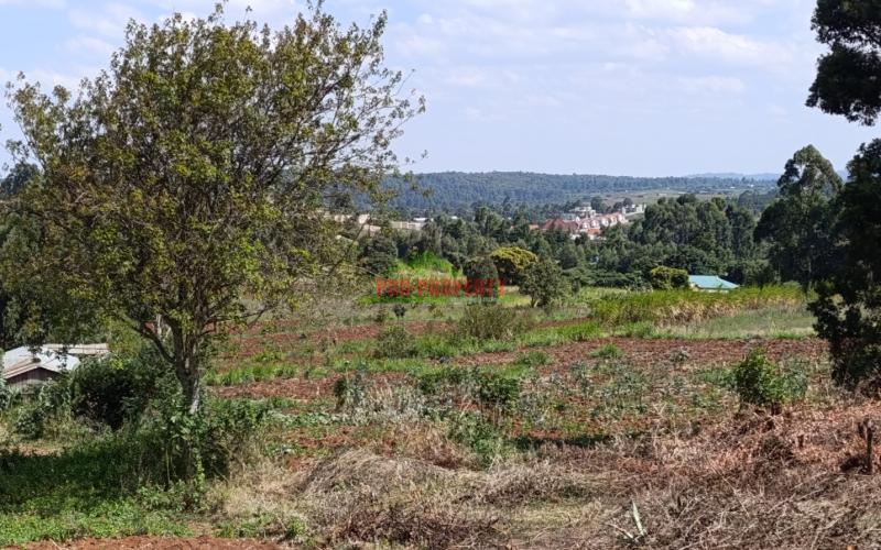 Prime Residential Plots For Sale In Gikambura, Kikuyu