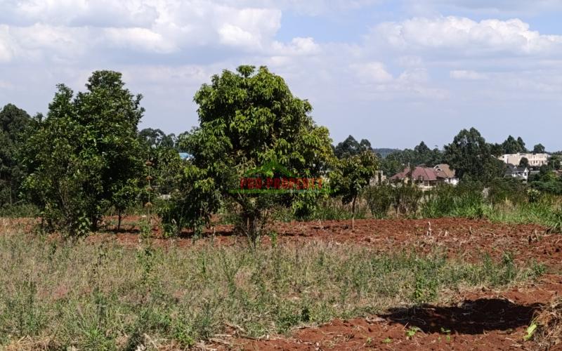 Prime Residential Plots For Sale In Gikambura, Kikuyu