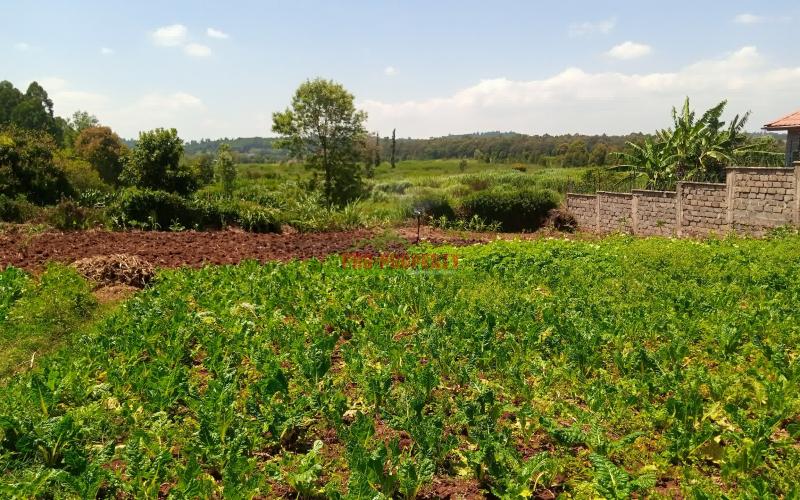 Prime 50*100 Residential Plots For Sale In Kikuyu Ondiri.