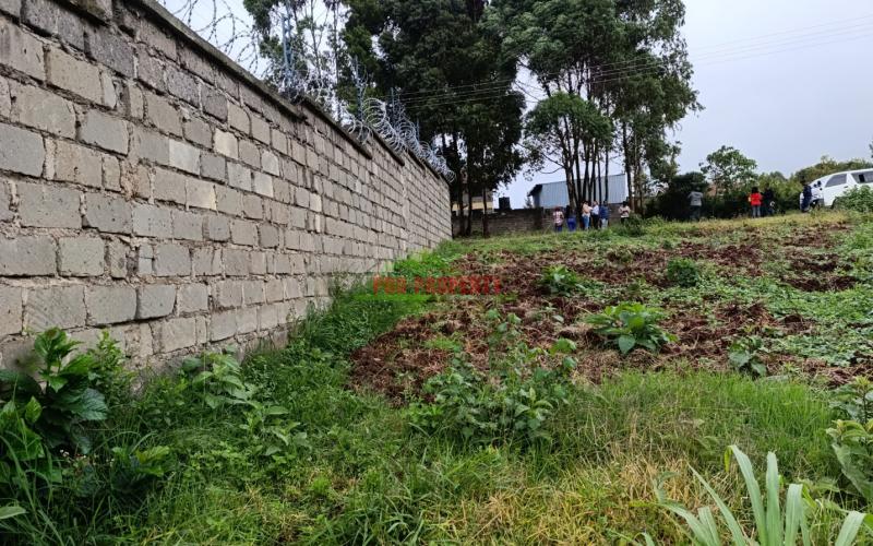 Commercial Plot For Sale In Muthure, Kikuyu
