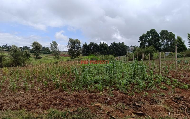 Prime Residential Quarter Acre Plot For Sale In Gikambura