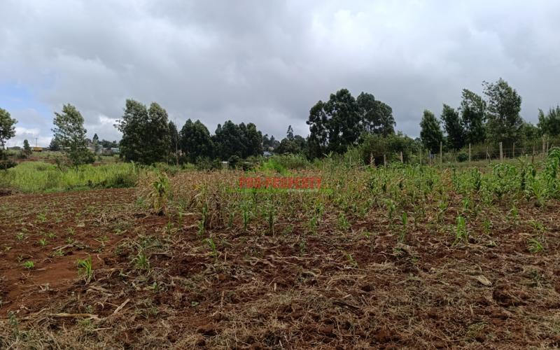 Prime Residential Quarter Acre Plot For Sale In Gikambura