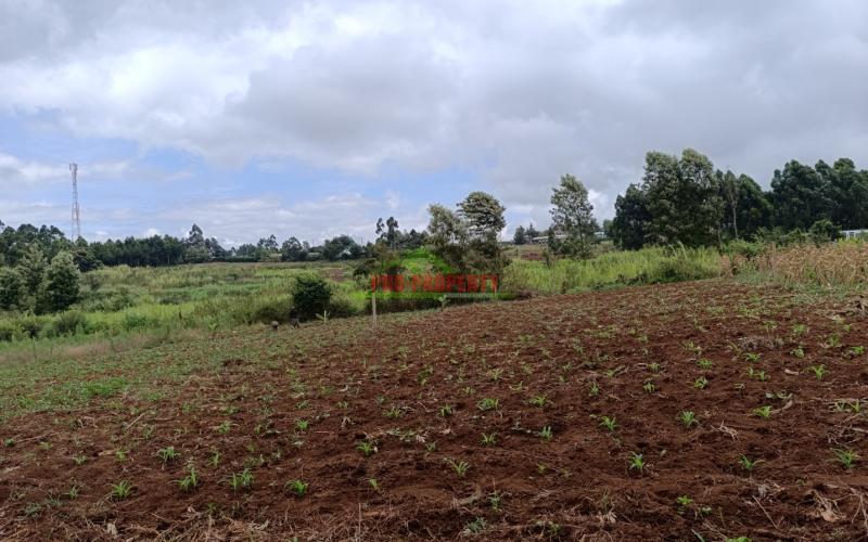 Prime Residential Quarter Acre Plot For Sale In Gikambura