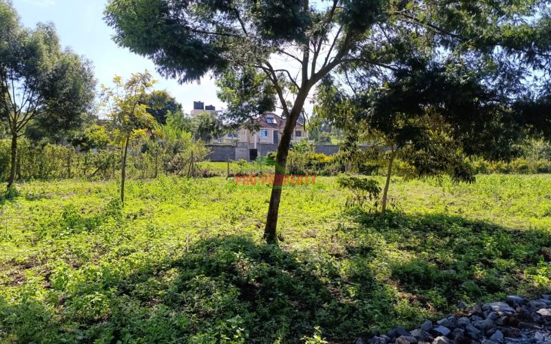 Prime Residential Plots For Sale In Gikambura (jambu Tv Road)