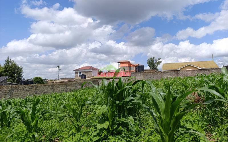 Prime Plot For Sale In Muthure, Kikuyu