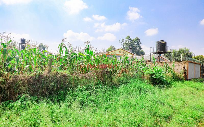 Prime Commercial Plots For Sale In Kikuyu, Sigona - Zambezi.