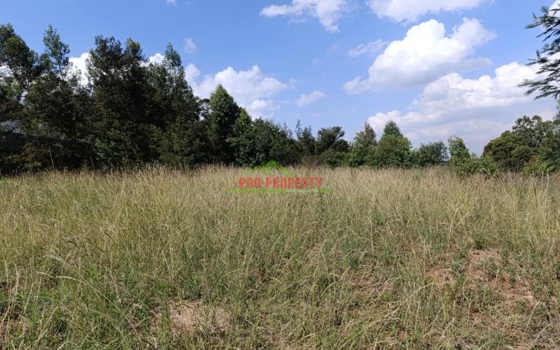 Prime Quarter Acre Plots For Sale In Kikuyu - Gikambura