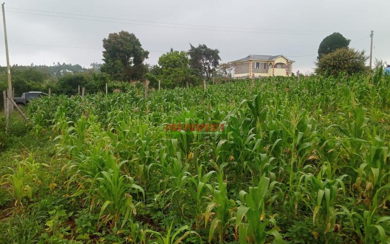 Prime 60 by 100 Residential plot  for sale in  Kikuyu ,Kamangu