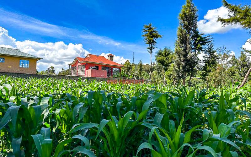 Prime Residential Plot For Sale In Kikuyu, Gikambura.