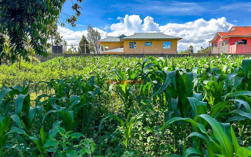 Prime Residential Plot For Sale In Kikuyu, Gikambura.