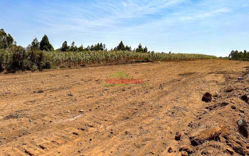 Residential Plots For Sale In Kikuyu, Kamangu, Nguirubi Area