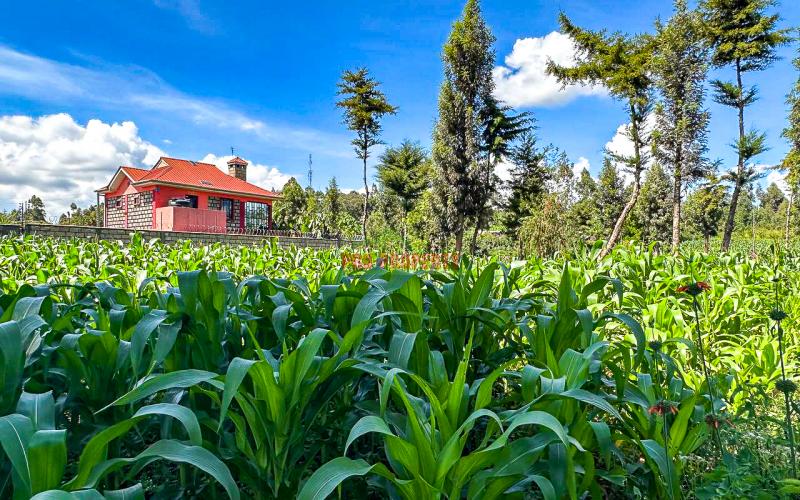 Prime Residential Plot For Sale In Kikuyu, Gikambura.