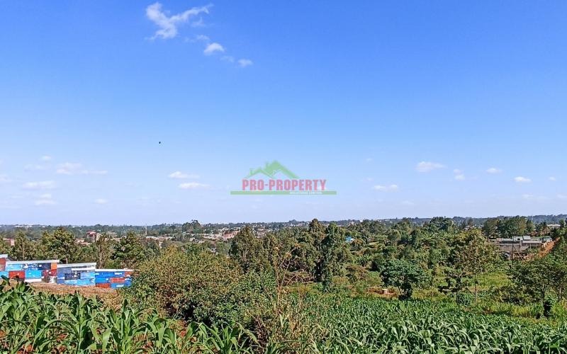 50 By 100ft Plot For Sale In Kikuyu, Thogoto (with Income)