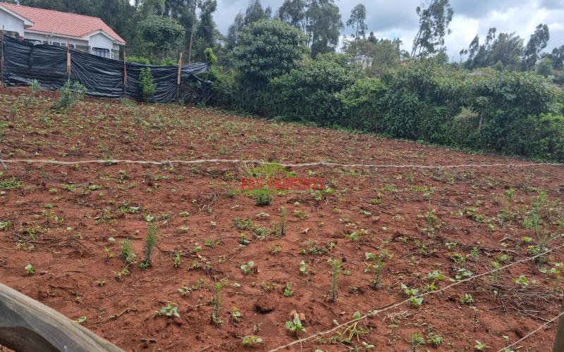 Residential Prime Plots For Sale in Gikambura.