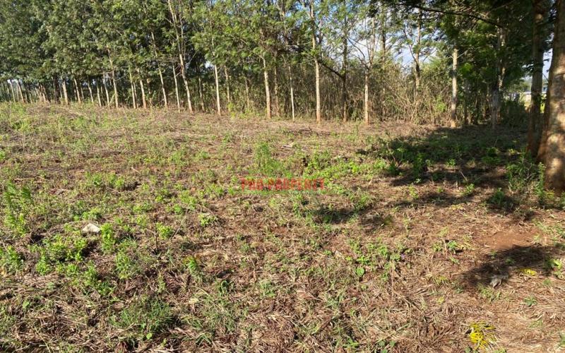 Prime Residential Plot For Sale In Kikuyu, Migumo-ini.