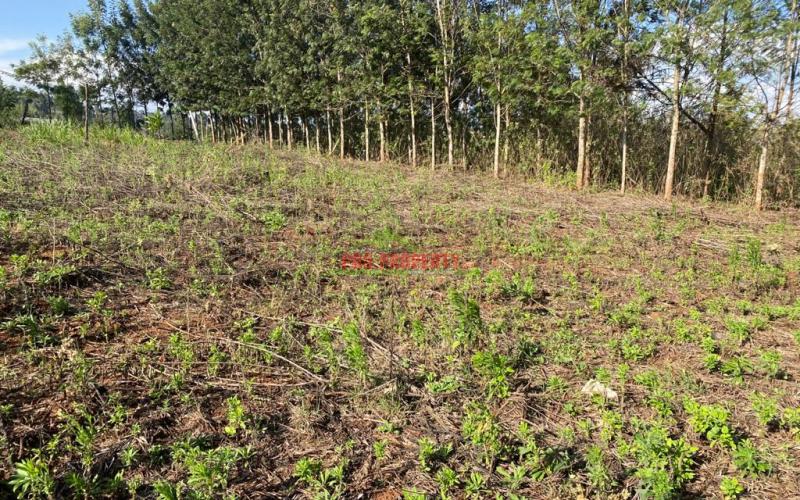 Prime Residential Plot For Sale In Kikuyu, Migumo-ini.