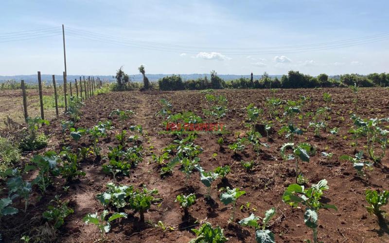 Prime Residential Plot For Sale In Muguga, In A Controlled Gated Estate