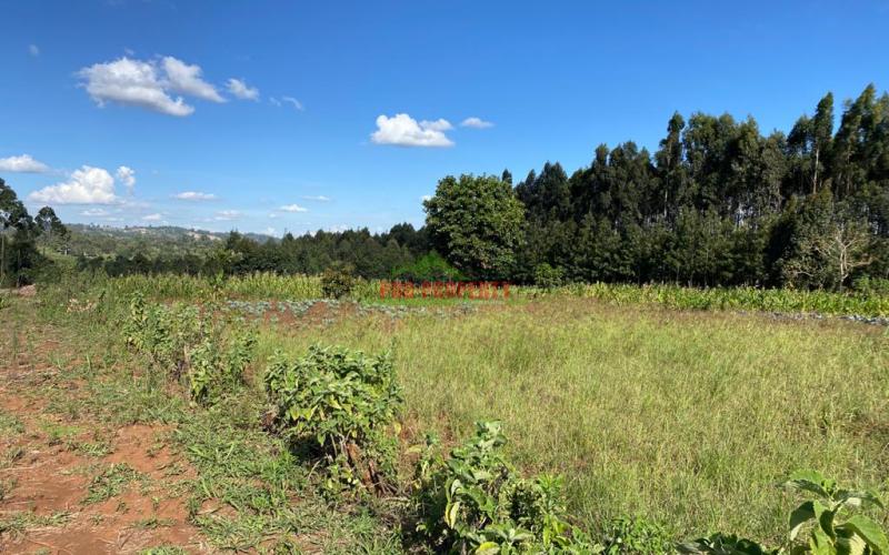 Plot For Sale In Limuru, Ndeiya Makutano.