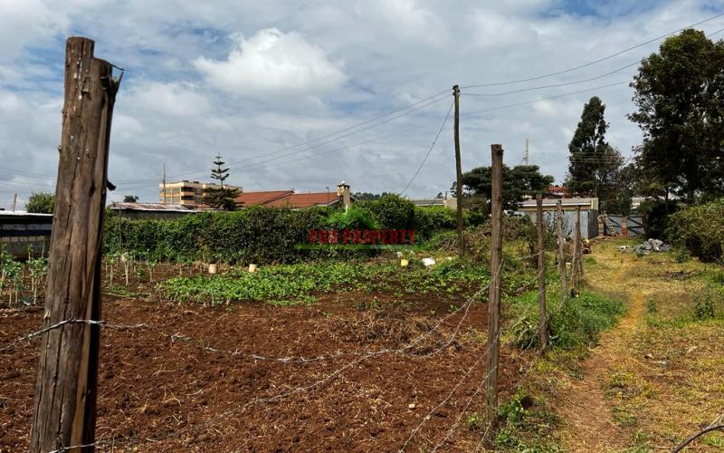 Prime Commercial Plot For Sale In Kikuyu, Zambezi.